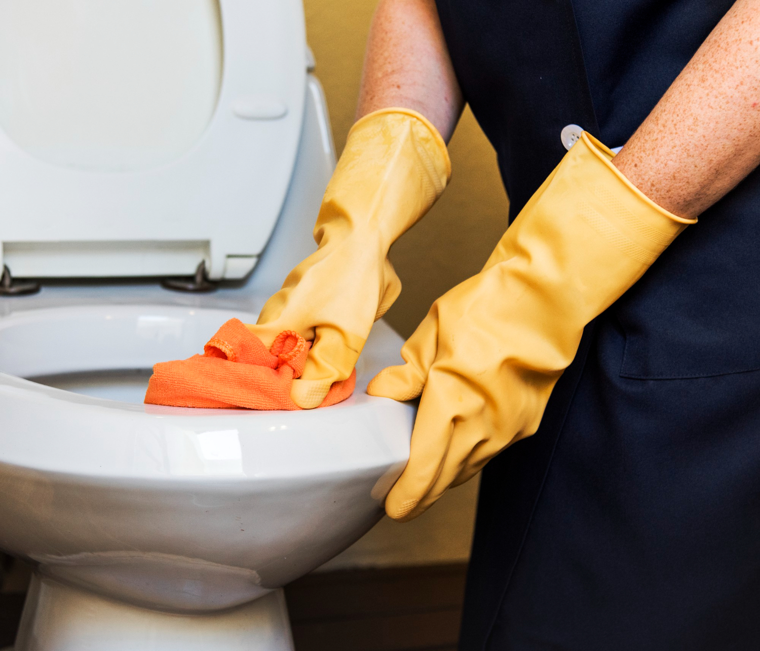 toilet is clogged